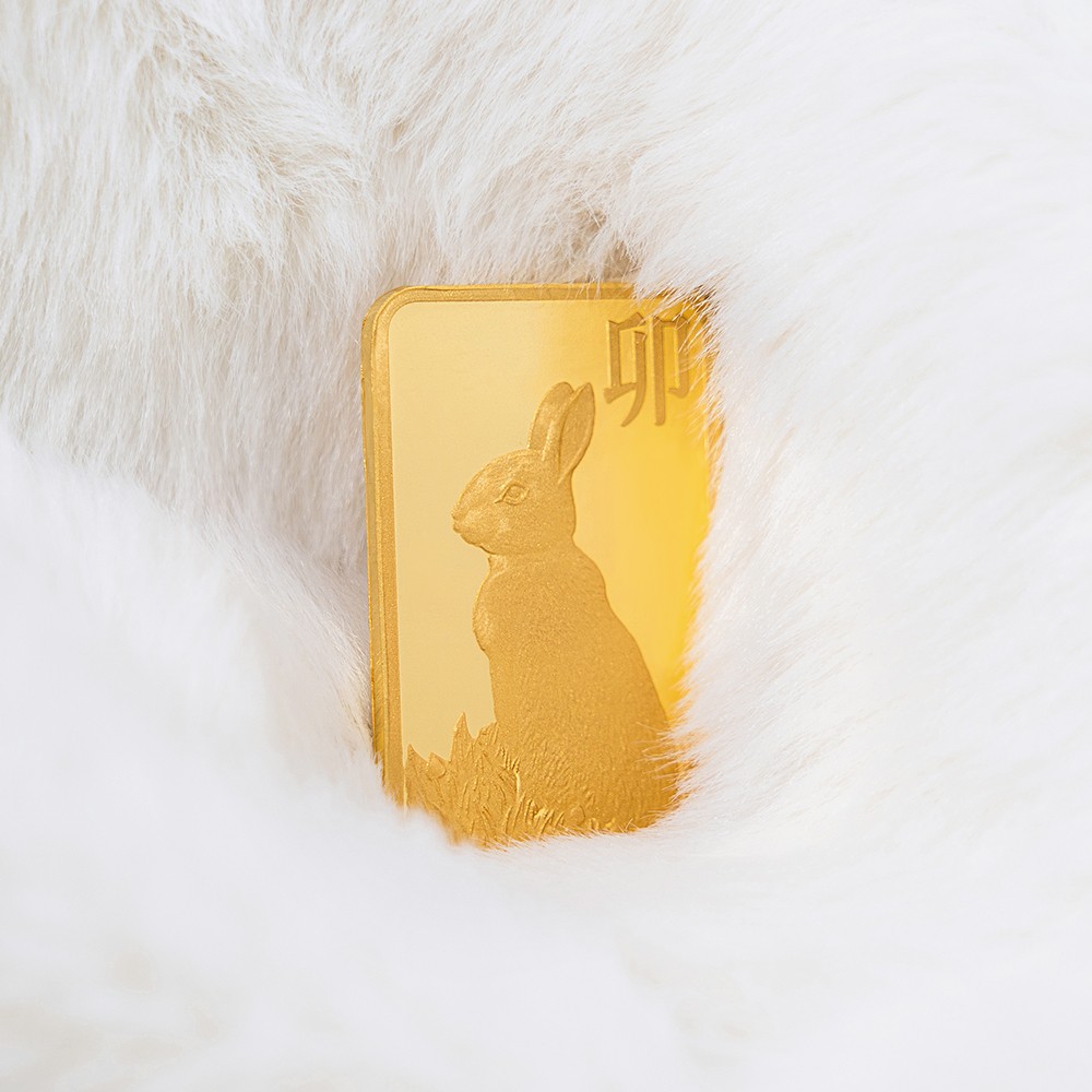 토끼 골드바요약정보 및 구매