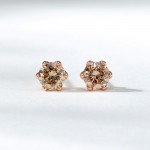 3부 꼬냑 귀걸이 6프롱 요약정보 및 구매